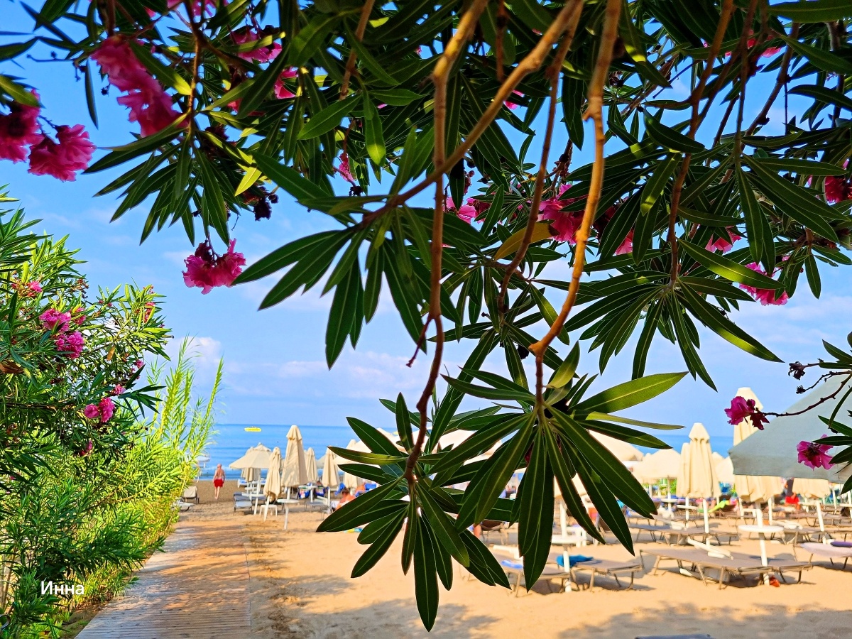 г. Сиде, Турция, август