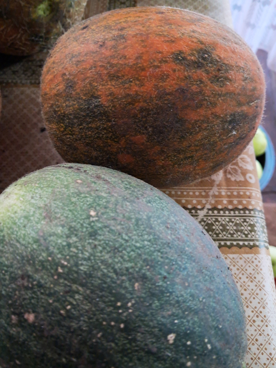 дары природы фото автора