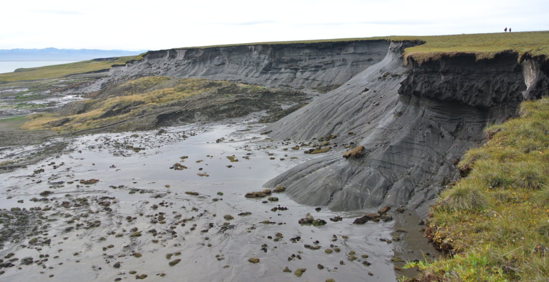    Фото: Борис Радосавлевич