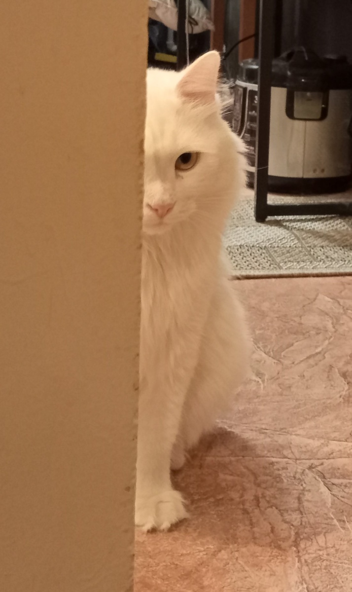 Соня на страже...