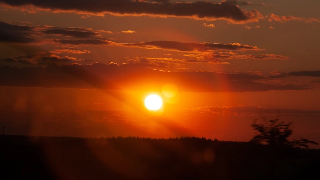    фото:Svetlana Vozmilova/Globallookpress