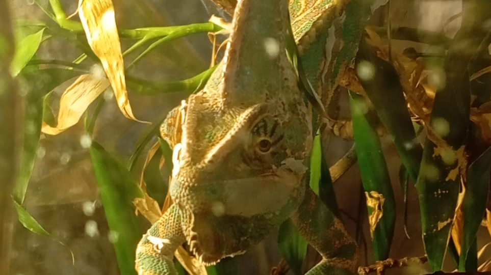 Маршрут на выходные и борьба с фобиями.