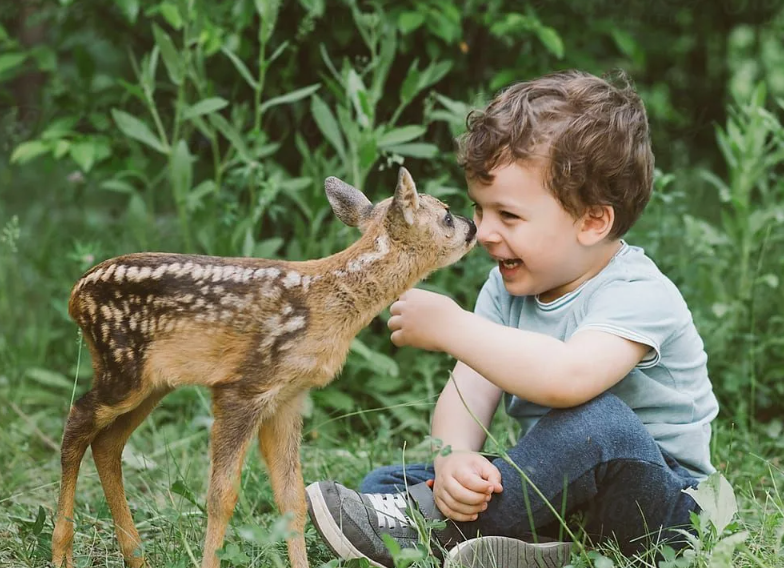 🐹👧 Уход за питомцем развивает у ребёнка эмпатию — малыши, которые кормят или играют с животными, лучше понимают эмоции других людей.