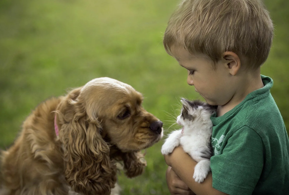 🐠👦 Даже наблюдение за рыбками снижает стресс у детей — аквариумы используют в терапии при тревожности и гиперактивности.