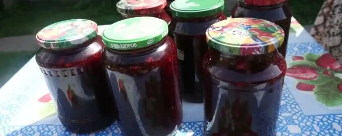 Варенье из брусники по деревенскому рецепту. Как варить, чтобы не закисло и хранилось долго