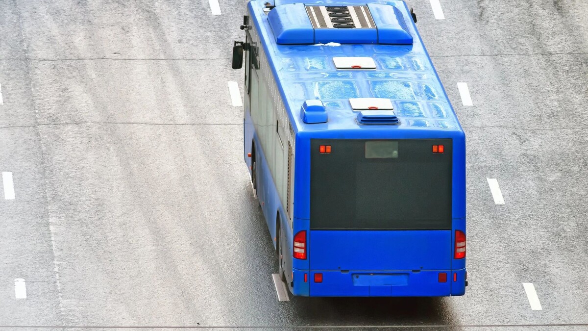    Фото: vaalaa/Shutterstock/Fotodom