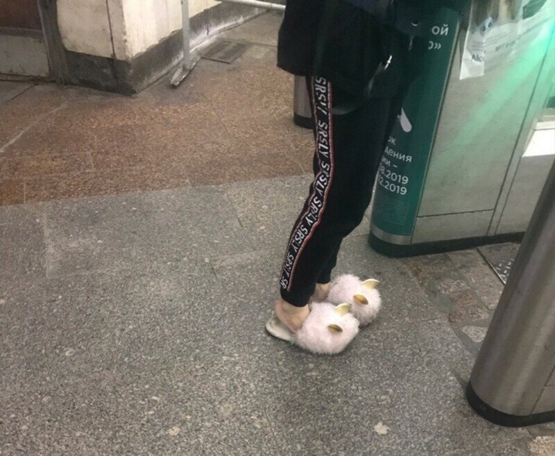 Источник Яндекс Картинки.