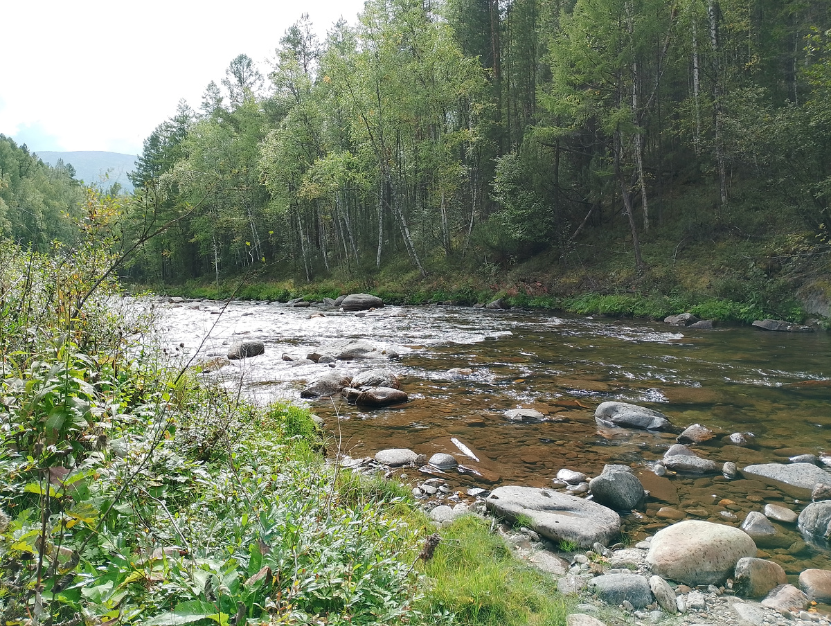 Фото 📷 автора.