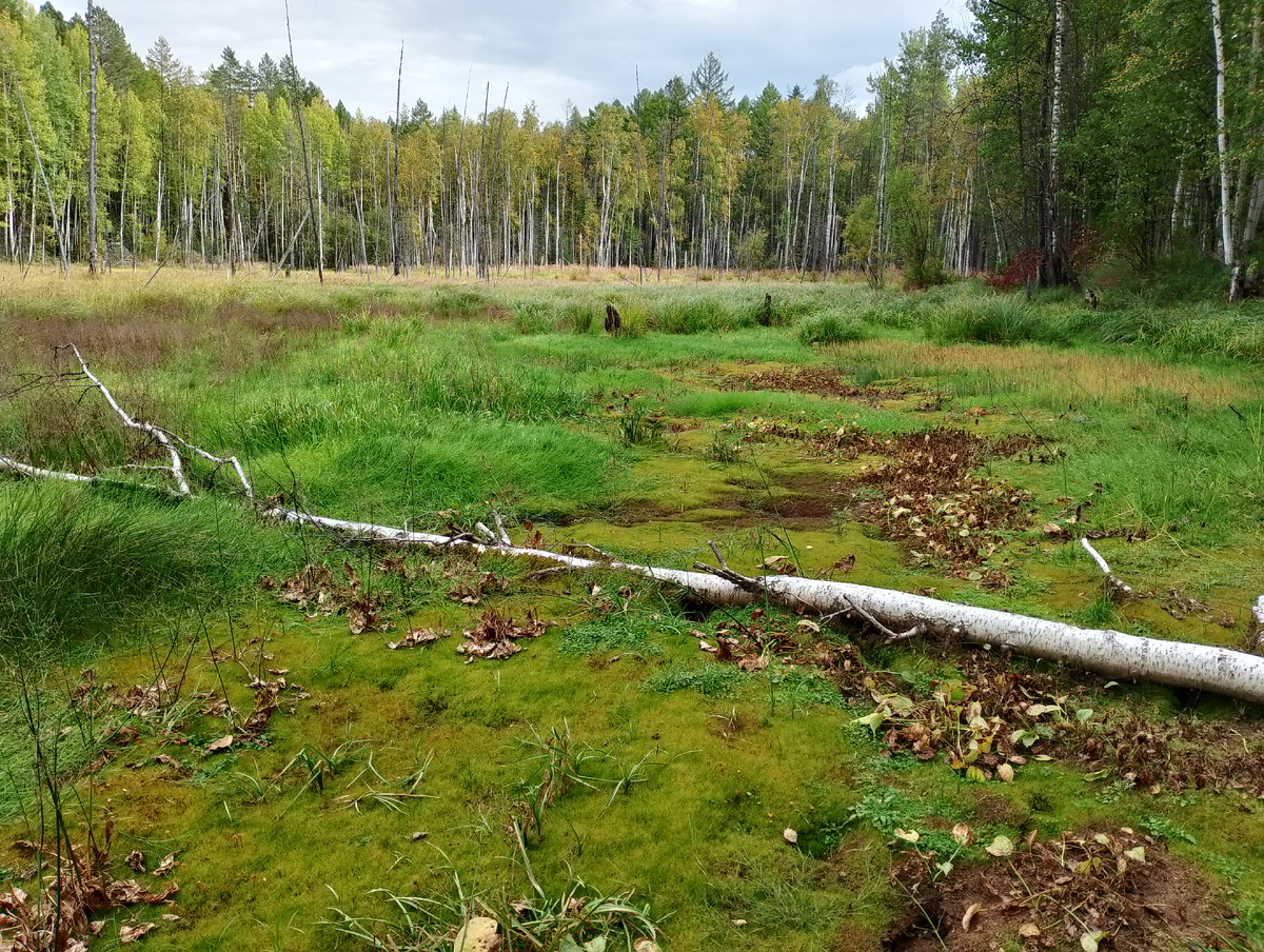 Фото 📷 автора.