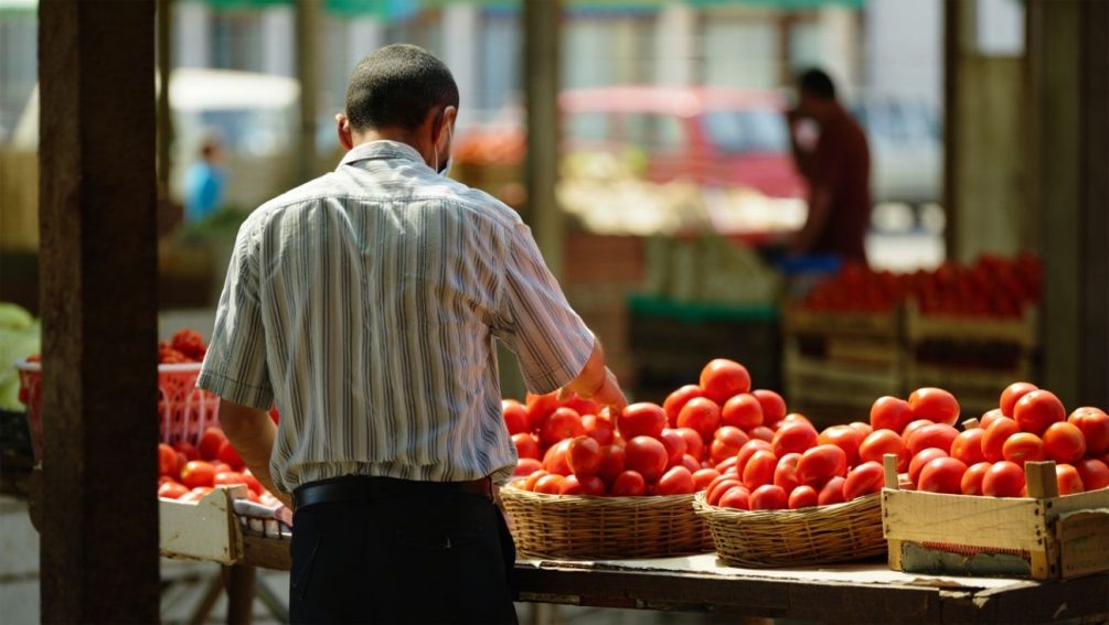   Помидоры Алиева. Иллюстрация: "Блокнот"
