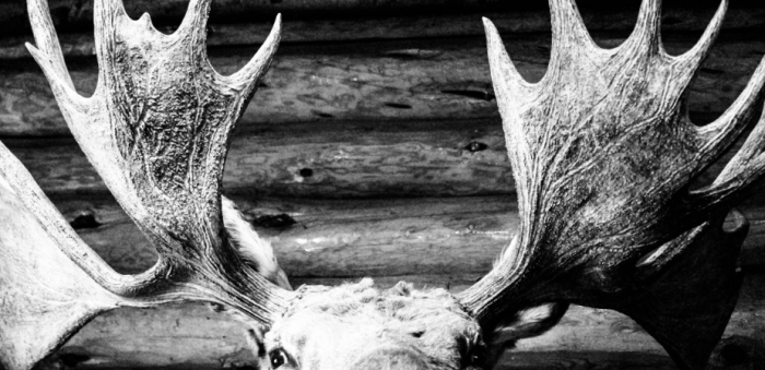 В Республике Саха почему-то важным кажется сохранить атрибуты / Фото: pxhere.com