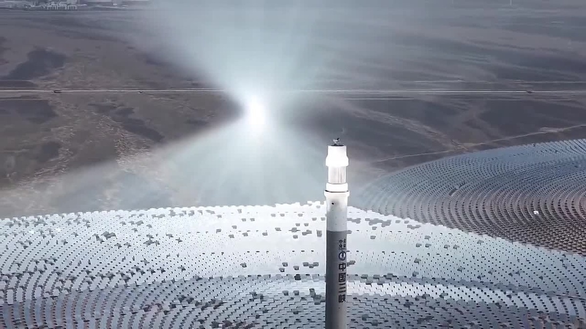 Фото: Фрипик