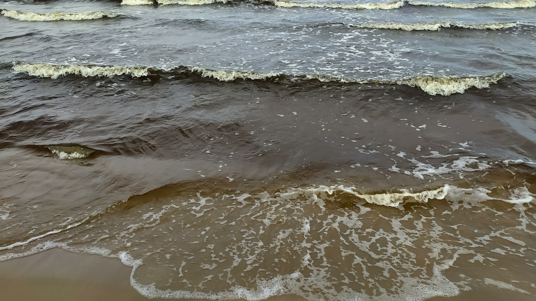    Фото: Victor Lisitsyn/Globallookpress