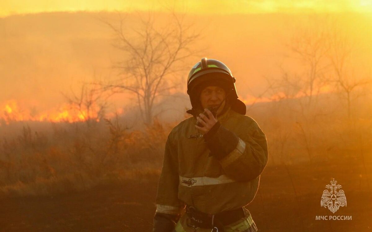    Фото: МЧС России