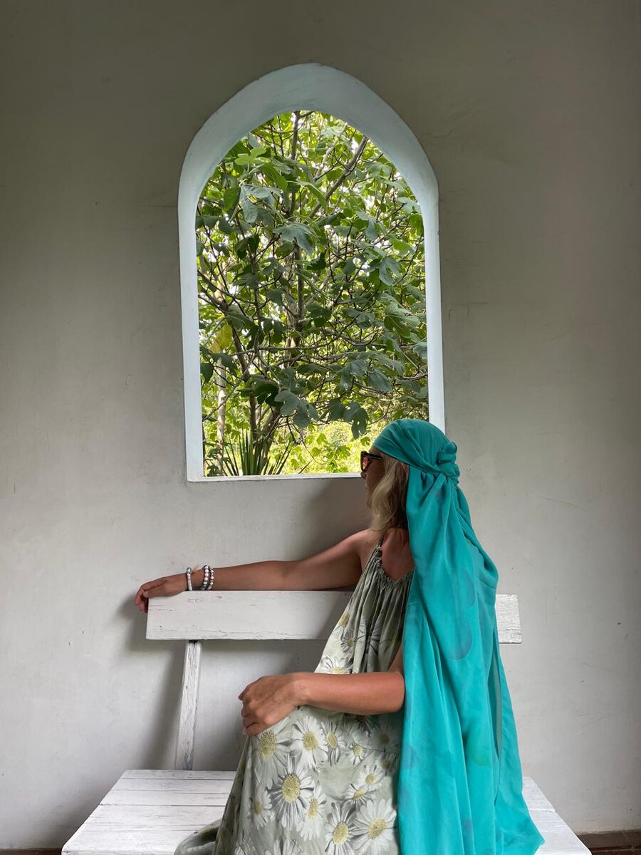 Любуюсь в окно на любимый инжир