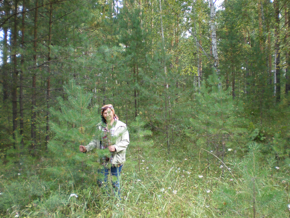 Мама в сибирском лесу. 2009-й год.