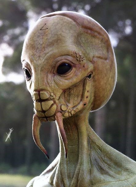 Картинки Яндекса
	
