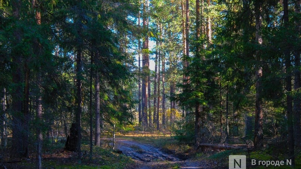 Новые правила для охотников вводятся в Нижегородской области