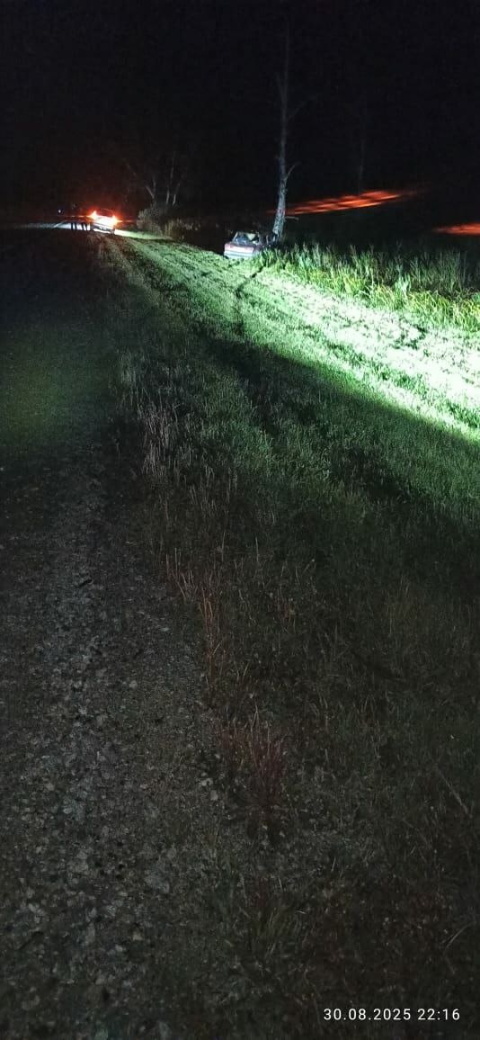    Фото: Telegram-канал «Госавтоинспекция Новосибирской области»