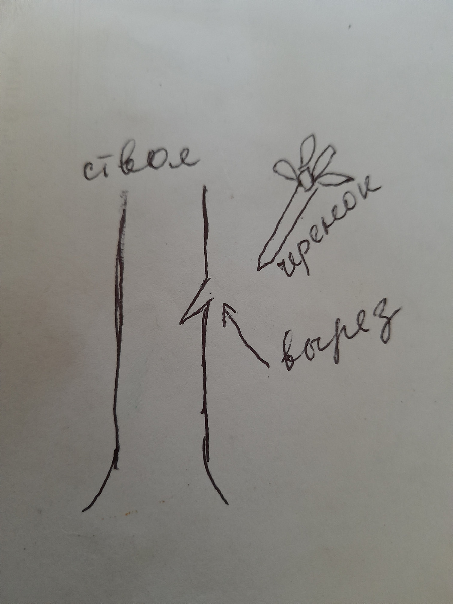 После такой емкой схемы статью можно было бы и не писать😄