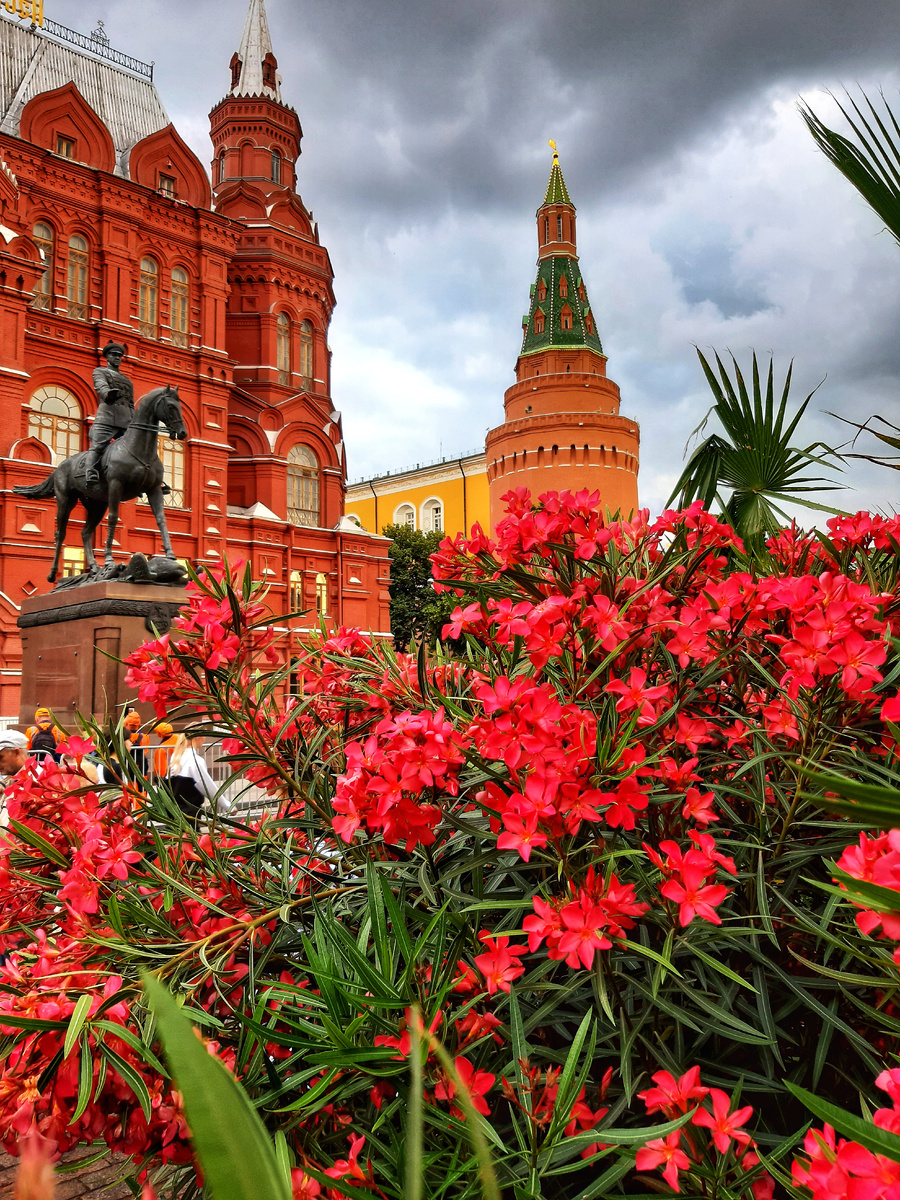 Лето 2025 в Москве. Мои ТОП-5 площадок фестиваля «Лето в Москве». Манежная площадь.