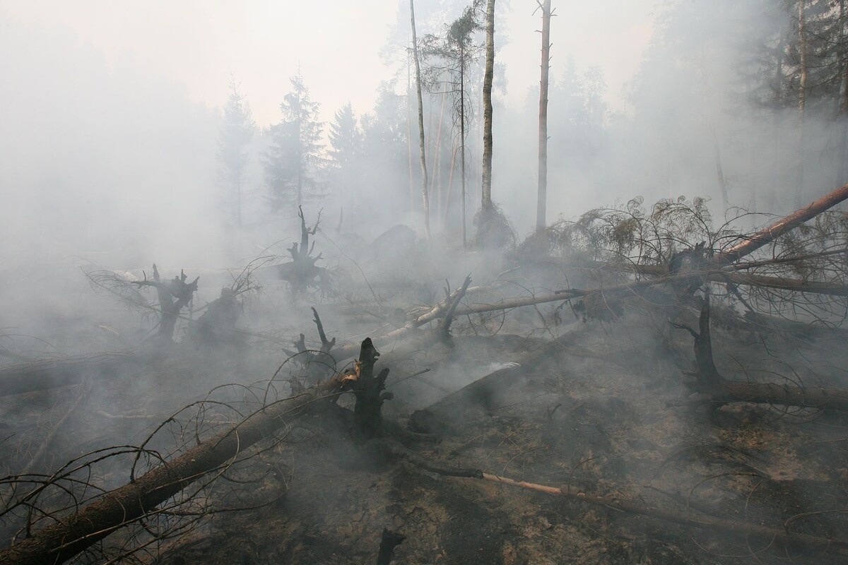     / Источник: © ИЗВЕСТИЯ/Сергей Величкин