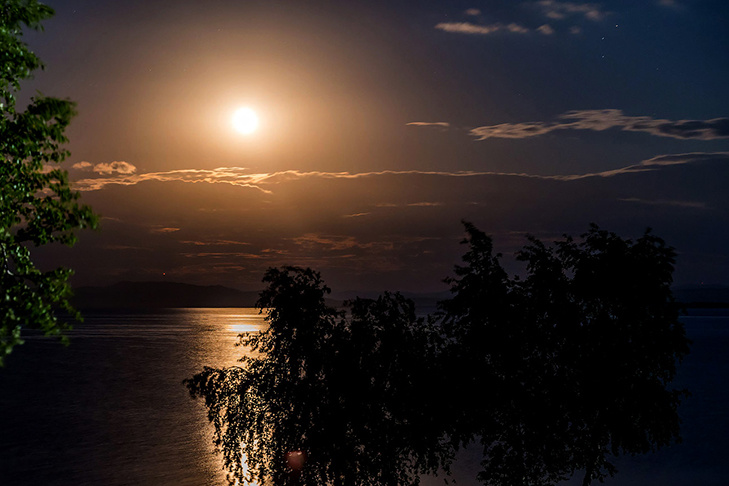    Фото Андрея Заржецкого