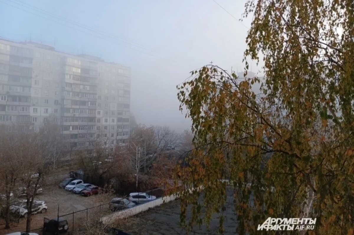    МЧС: в ночь на 1 сентября в Пермском крае ожидается туман