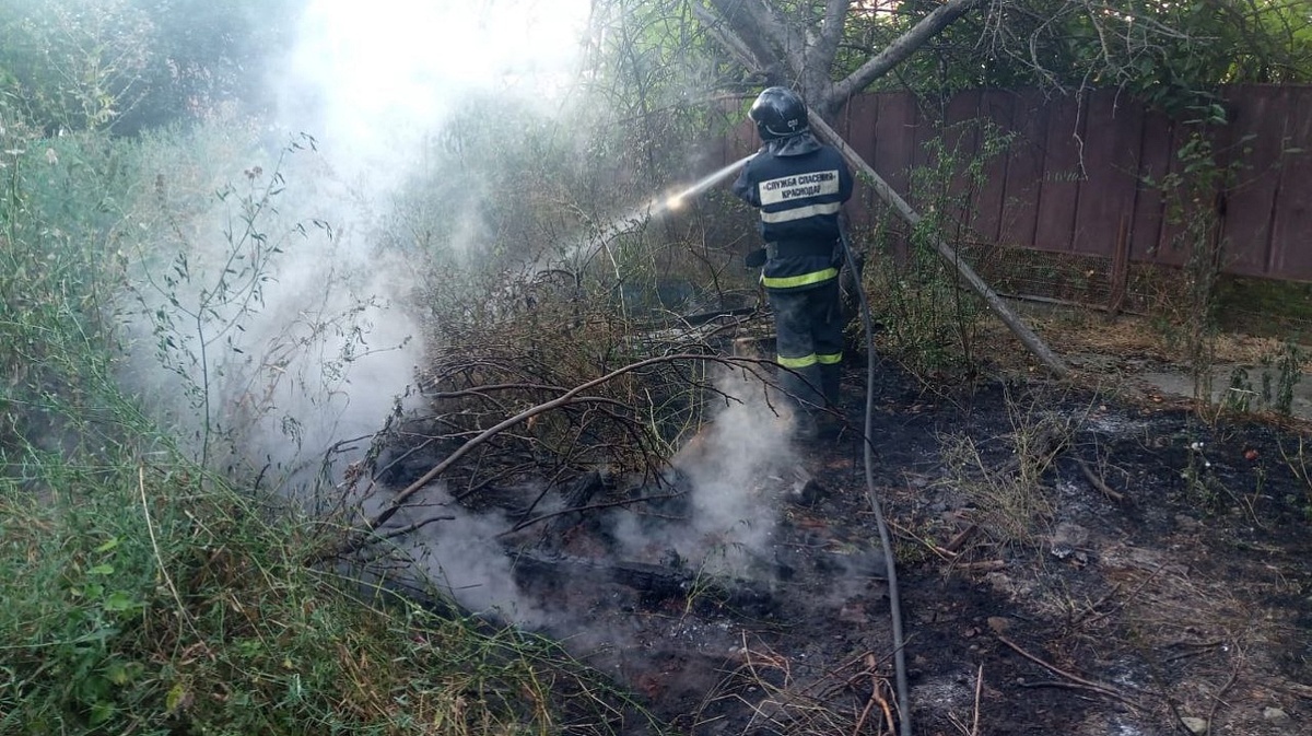 Фото: пресс-служба администрации Краснодара