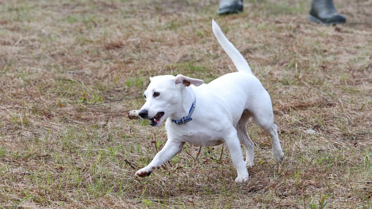    Фото: Андрей Ткачев / «Ямал-Медиа»