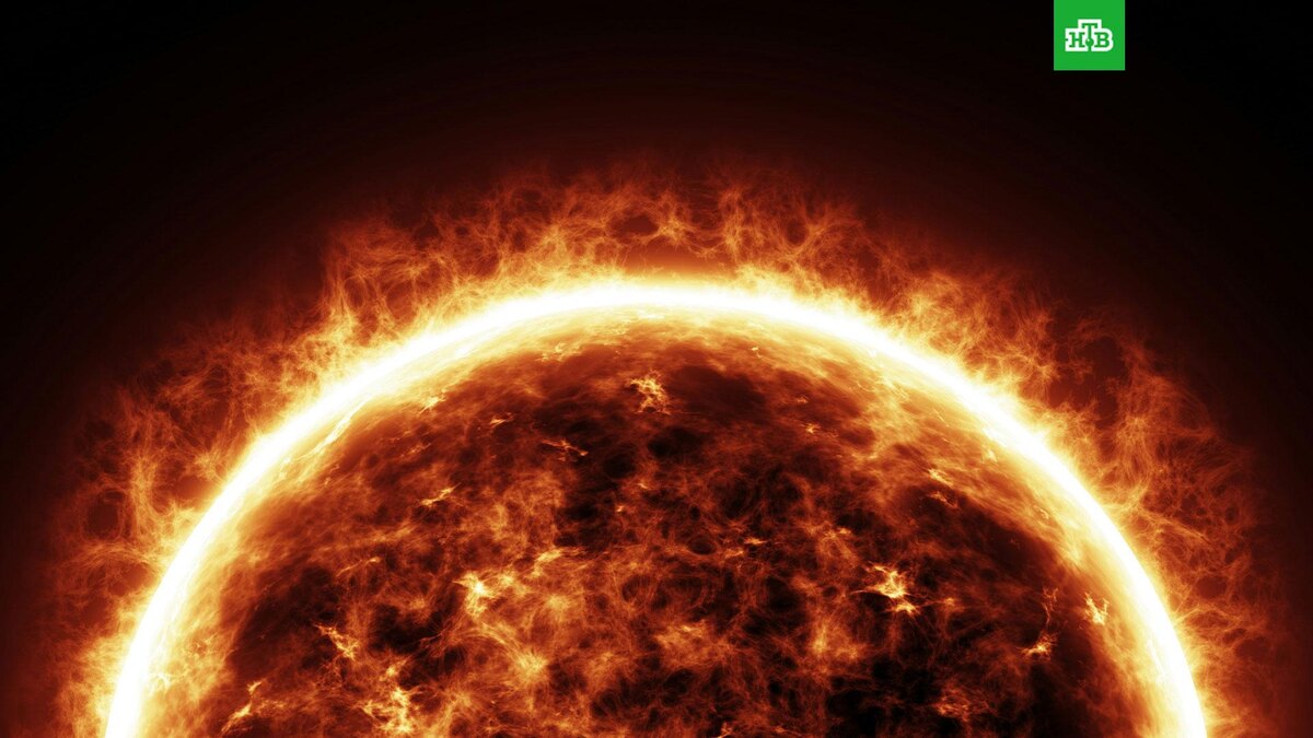    Фото: Javier Miranda / unsplash.com