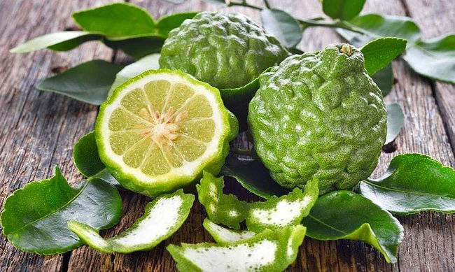 Как на самом деле выглядит Бергамот?