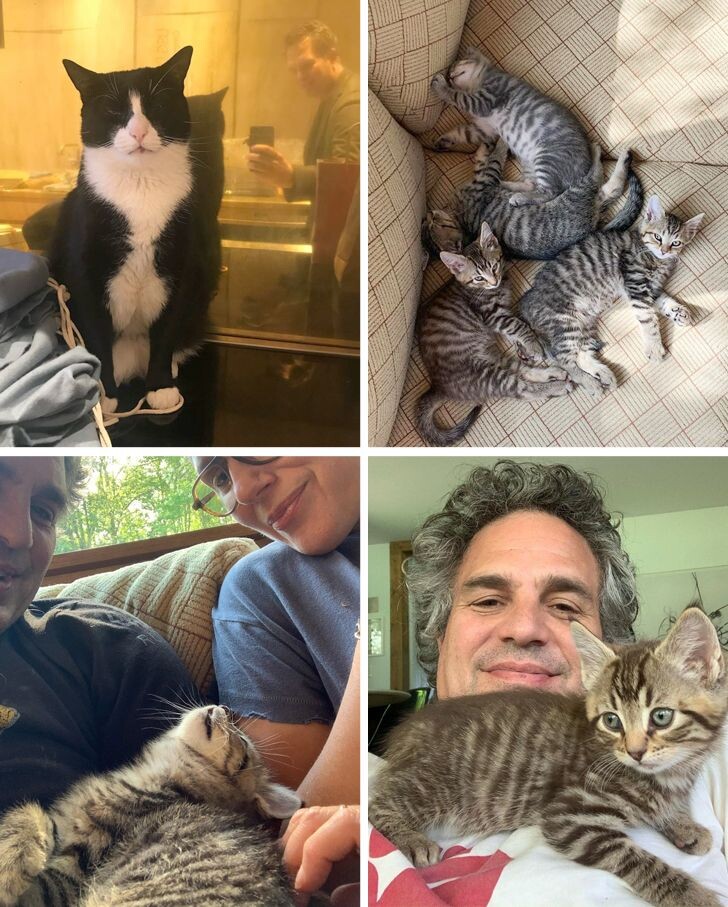 © markruffalo 