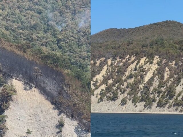    Фото: телеграм-канал "Алексей Богодистов | Глава муниципального образования город-курорт Геленджик"