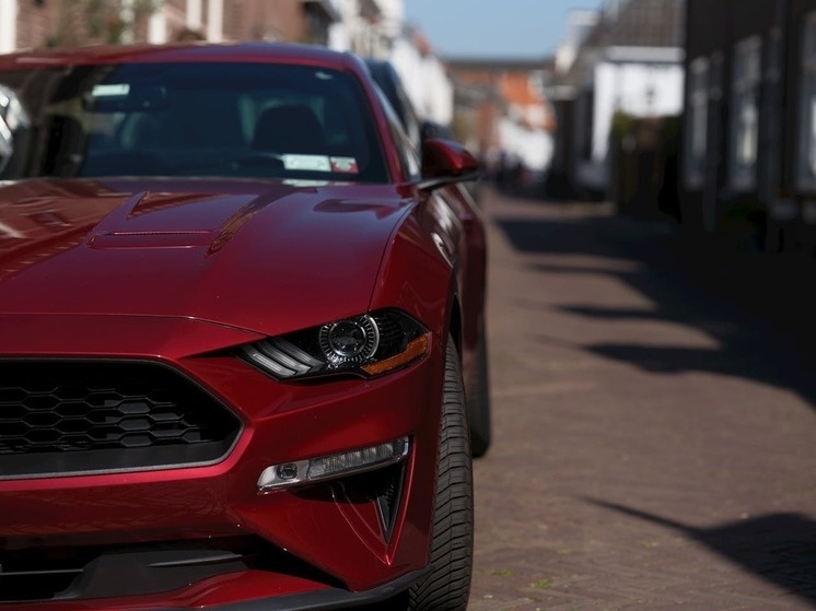     Фото: pexels.com