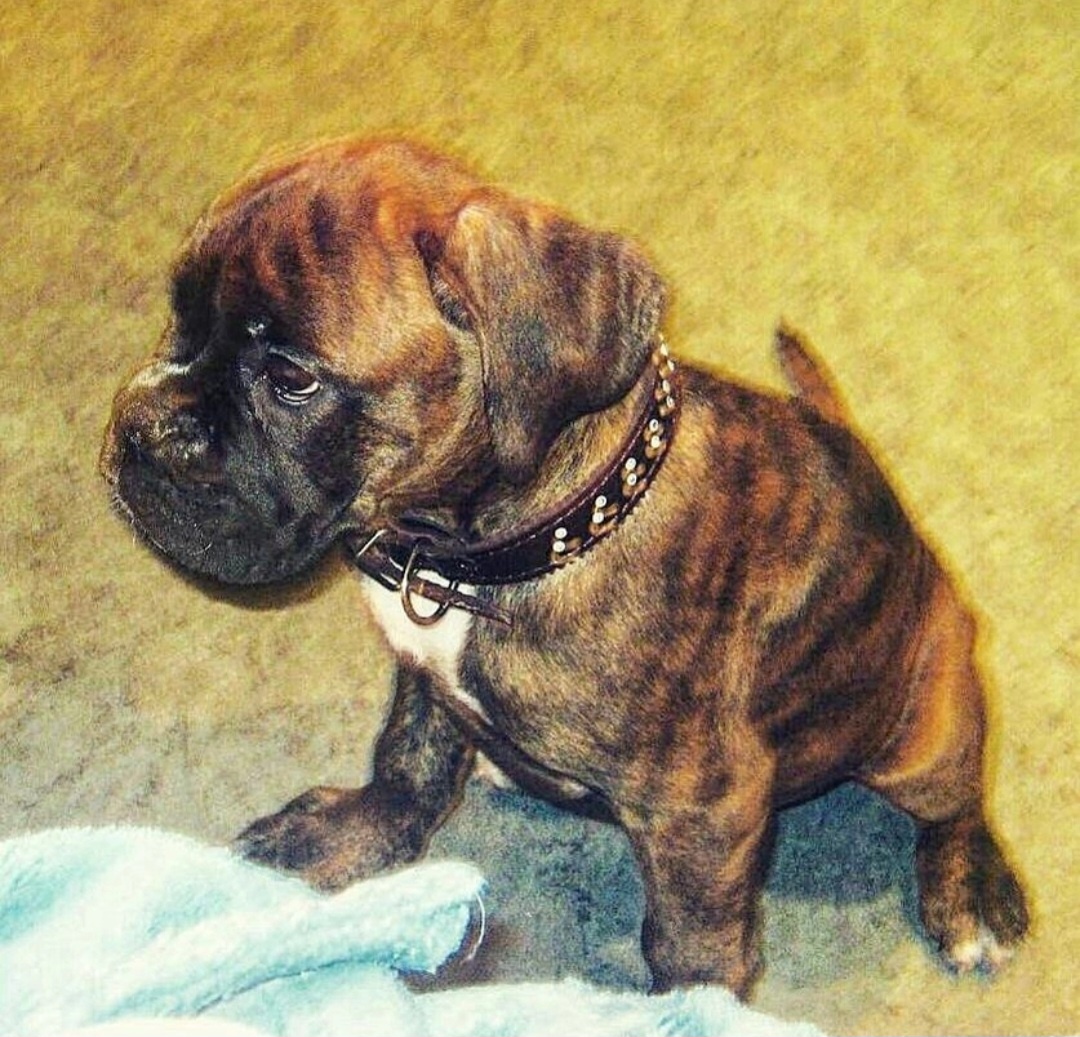 фото из личного архива 