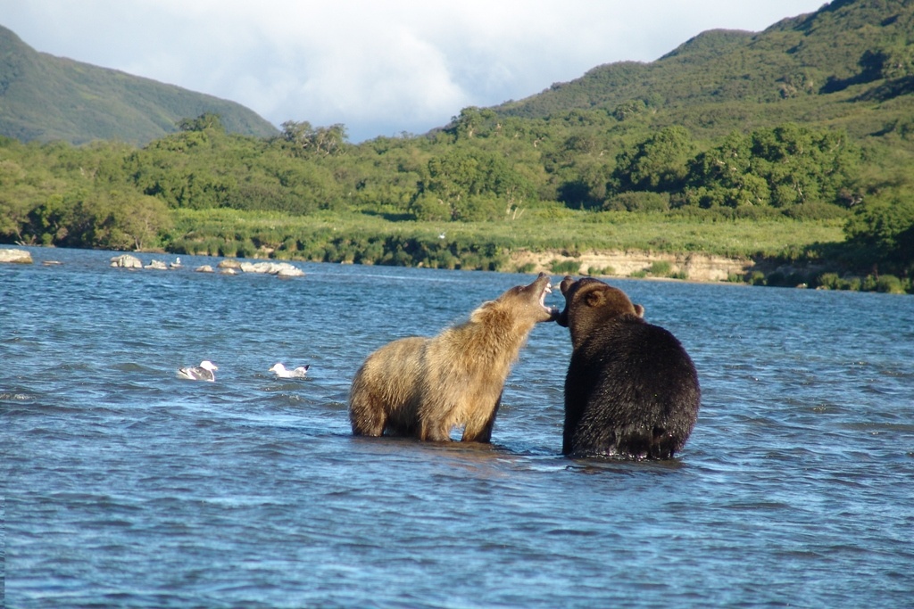 Источник: Google фото