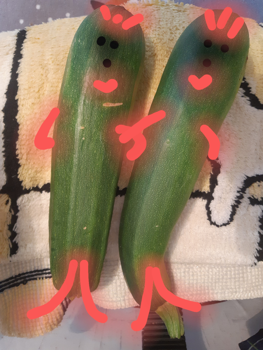 Дратути! Мы ваши навеки!