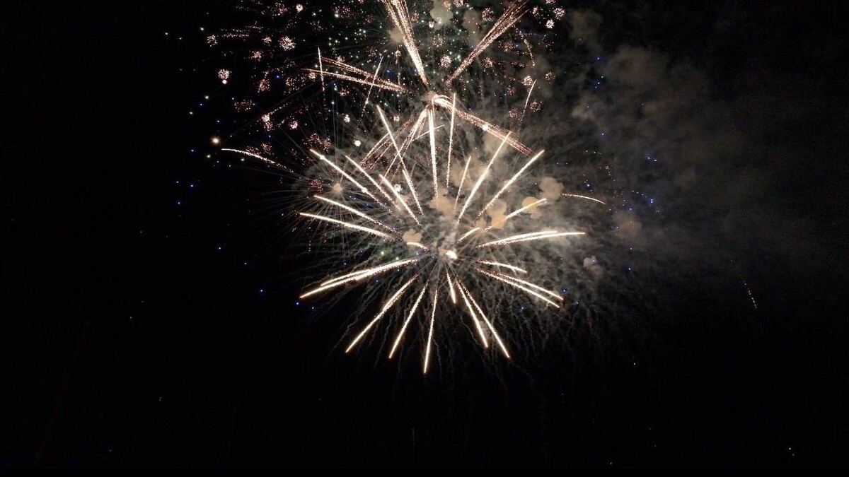    Кадр из видео: «Ямал-Медиа»