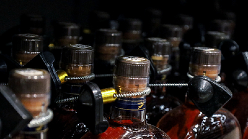    Фото: Elena Mayorova/Globallookpress