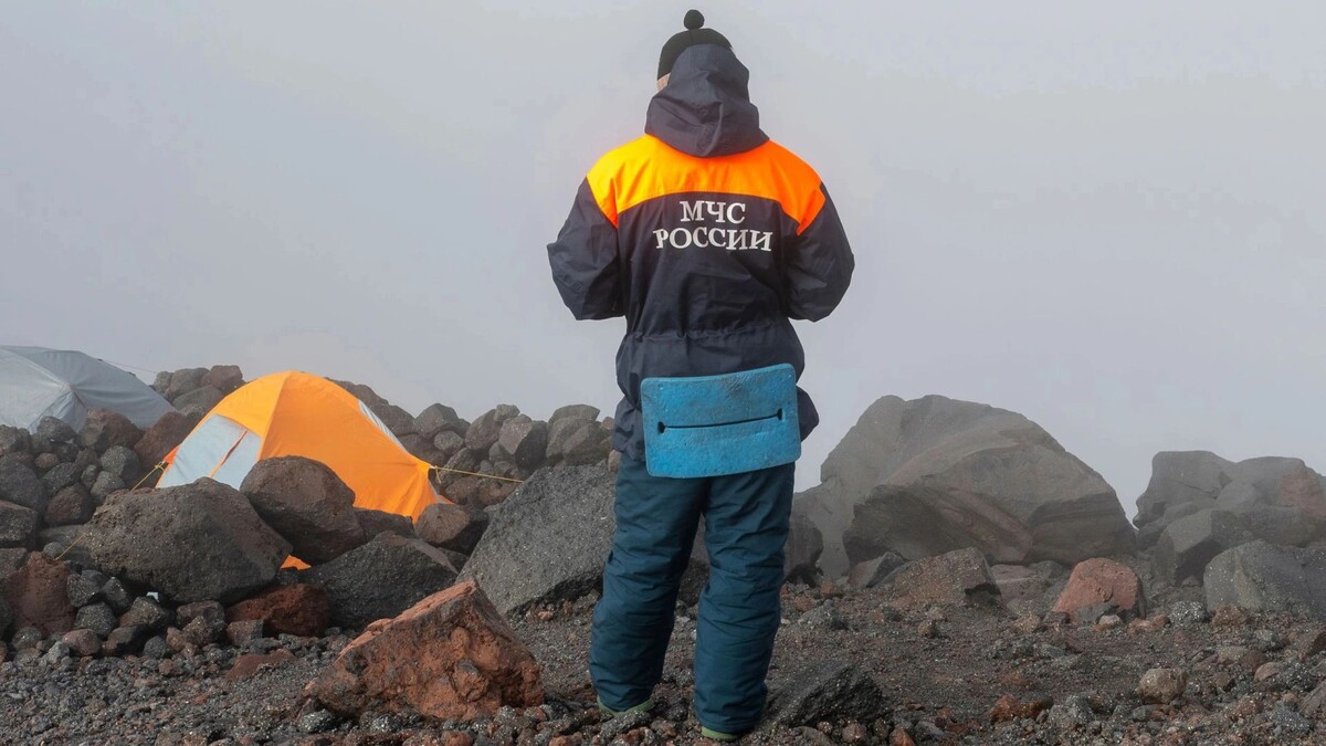    Фото: Kirill Skorobogatko/Shutterstock/Fotodom