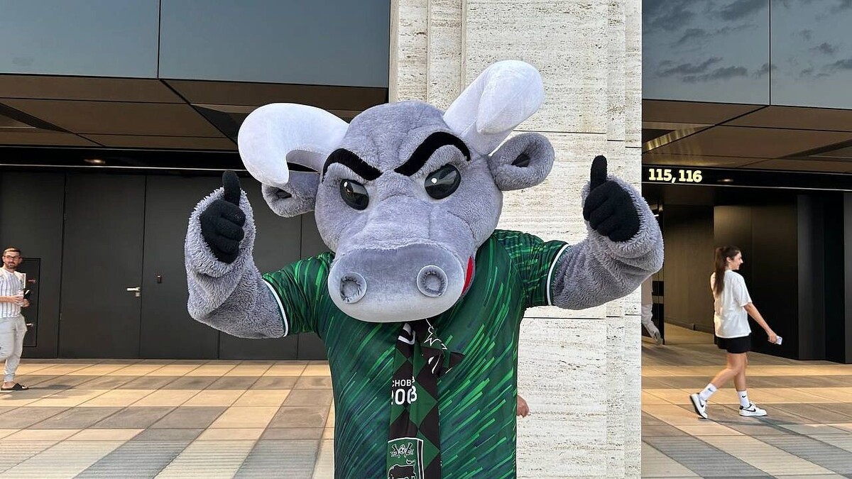    Фото: телеканал «Краснодар»