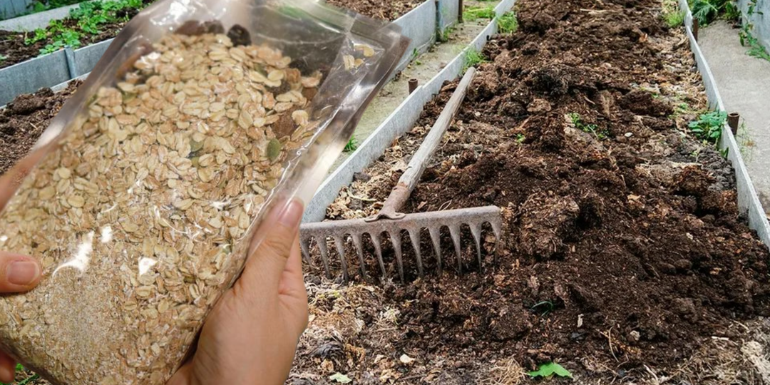 Пачка дешёвой крупы осенью и земля как после КАМАЗа навоза: разбираемся, где правда, а где хитрая уловка