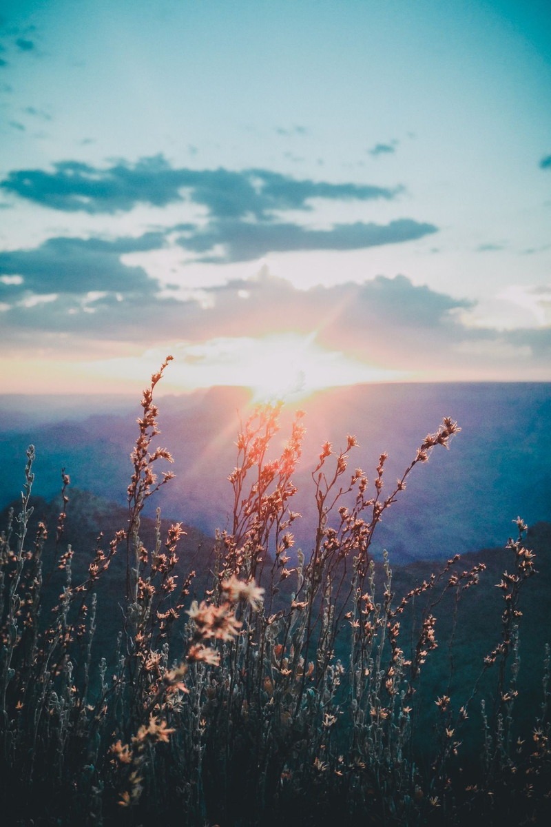 Точно также, как и каждую томную, мрачную ночь ждет освещающий рассвет... точно также искусство восстанет и превратится в свет, освещающий нам дорогу!