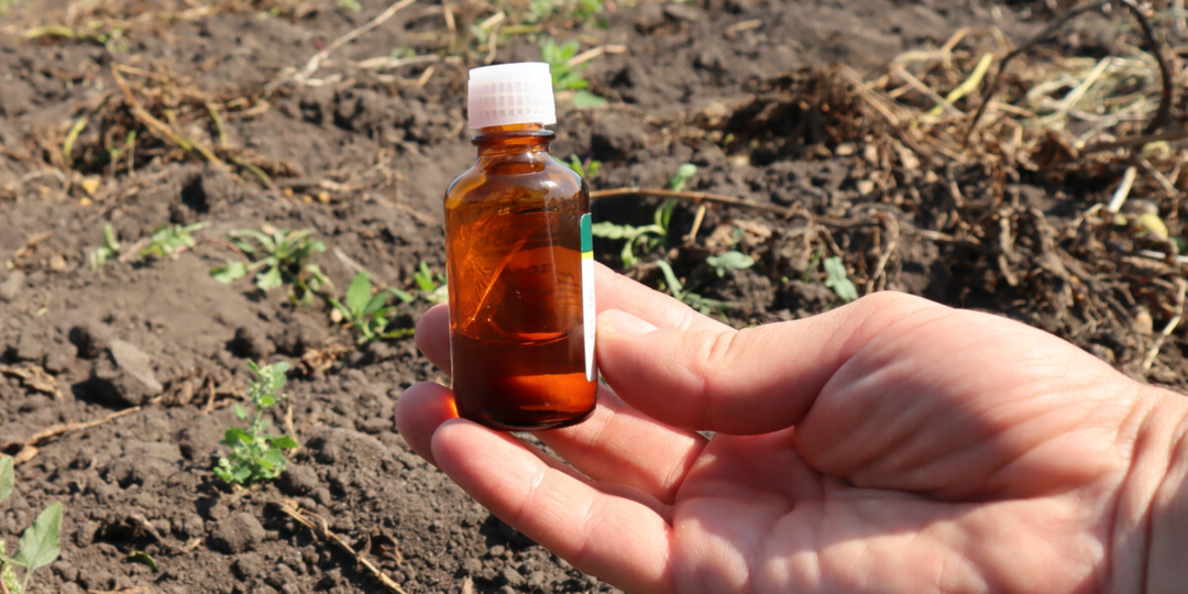 Готовлю почву к зиме по совету 79-летнего агронома: 4 народных метода, от которых фитофтора моментально исчезнет