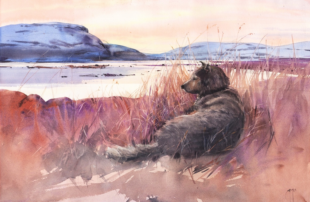 "Териберка и Рыбачий" - https://vk.com/album-47384482_282219337