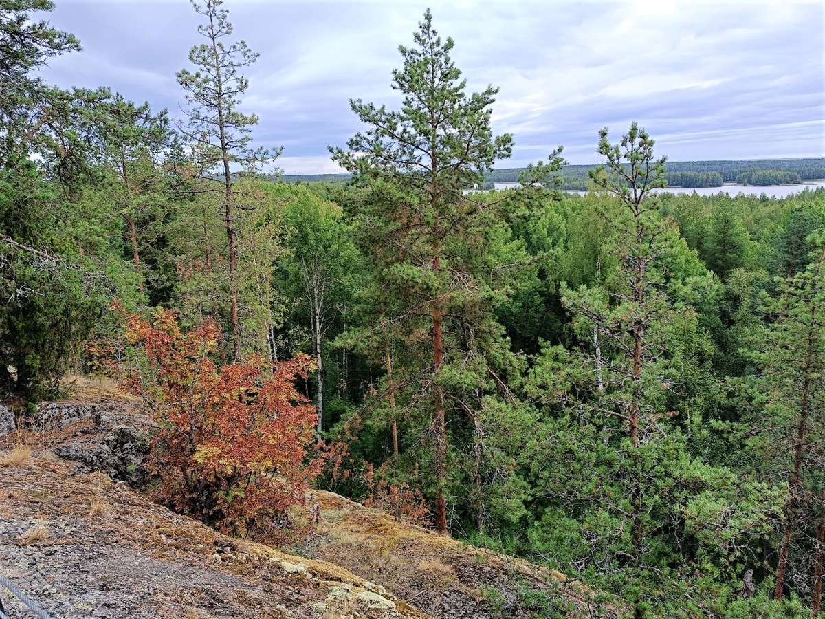 Вид с горы на Кончезеро. Фото автора