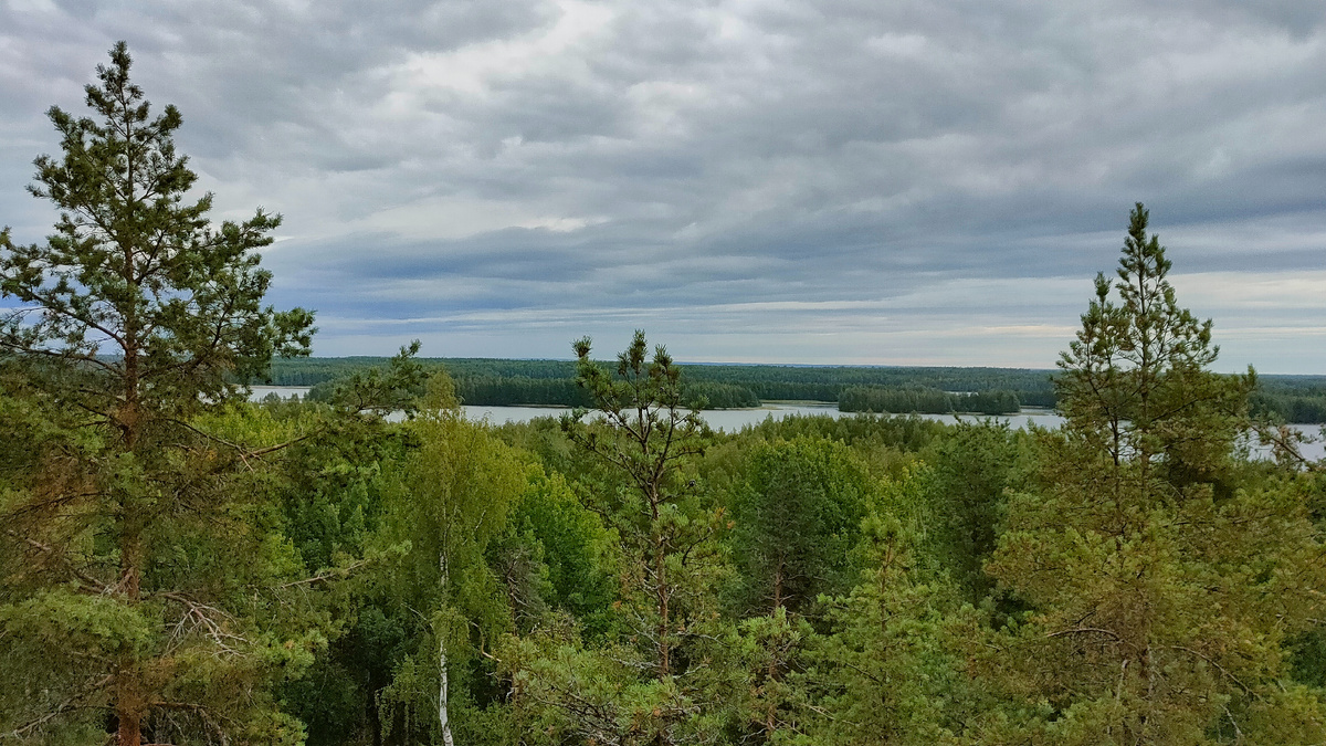 Вид с горы на Кончезеро. Фото автора