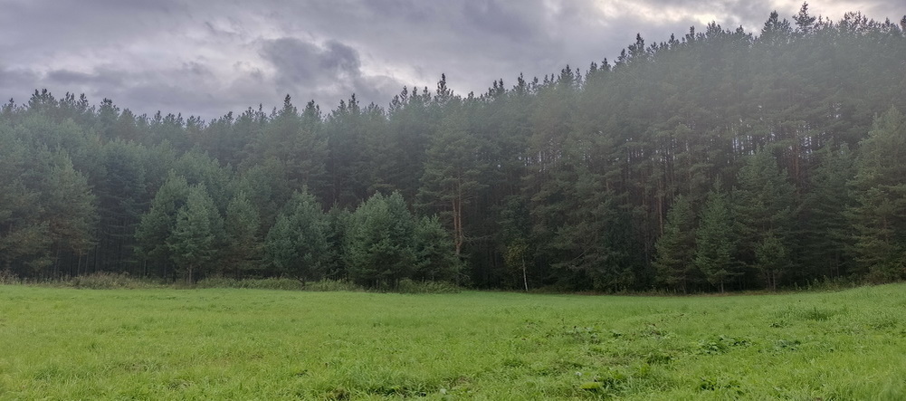 Мрачновато.