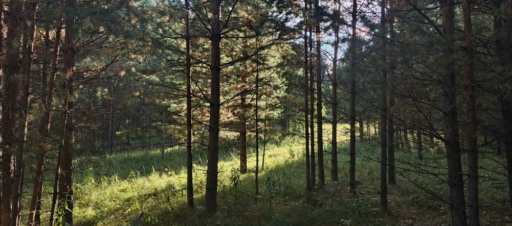 Спасибо всем за солнышко и теплышко!